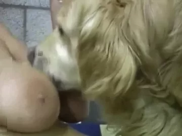 Cachorro beija na boca da mulher e lambe a buceta dela