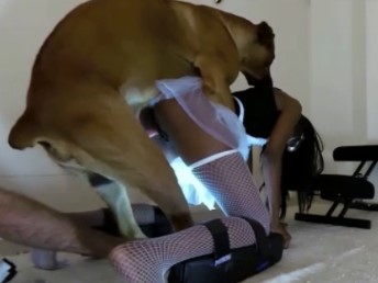 Cachorro enorme destruindo a buceta da mulher casada de 4