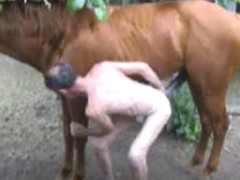 Cavalo metendo o pau na bunda de um brasileiro gay