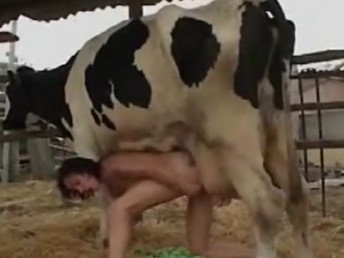 Lésbica pratica zoofilia fazendo sexo com uma vaca