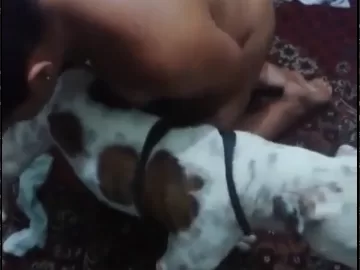 Marido filmou esposa pelada batendo punheta para o cachorro