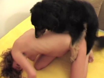 Minha esposa bêbada fez sexo com nosso cachorro
