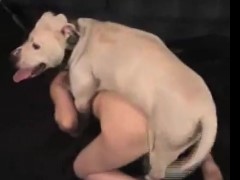 Pit bull estuprando a dona bunduda