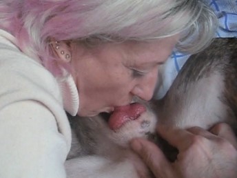 Velha tarada chupando a rola do cachorro ate ele gozar